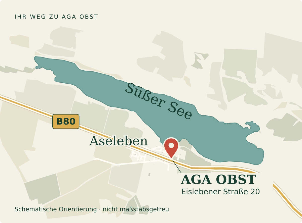Orientierungskarte: Aseleben südlich des Süßen Sees. AGA OBST, Eislebener Straße 20, liegt auf der Seeseite der B80.